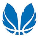 Logo Liga Femenina Endesa